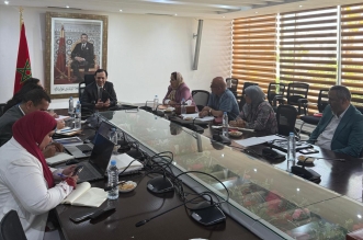 الإدماج الاقتصادي والمقاولة الصغرى والتشغيل والكفاءات